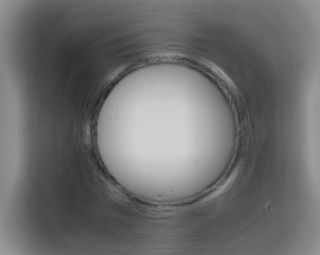 X0000113750777200909301031