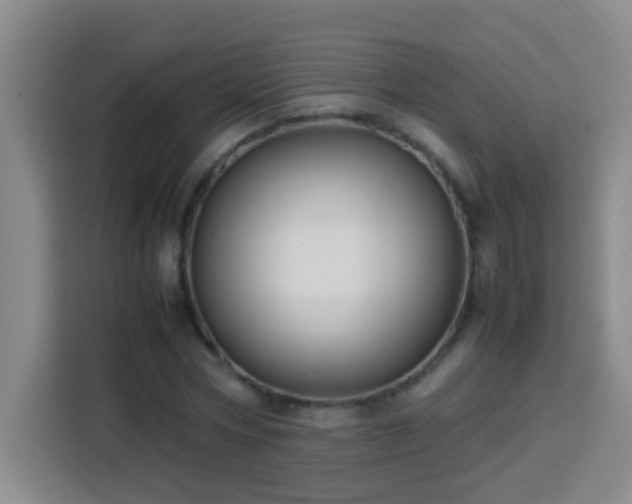 X0000113750778200909301031