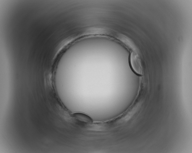 X0000113750781200909301031