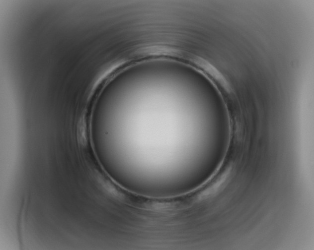X0000113750782200909301031