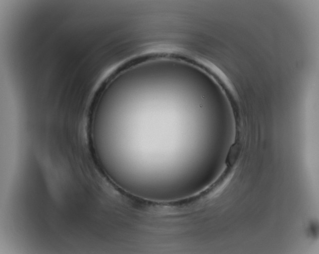 X0000113750783200909301031