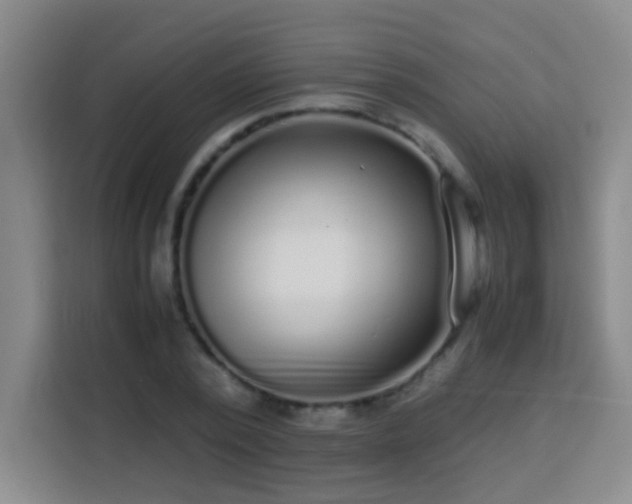 X0000113750784200909301031