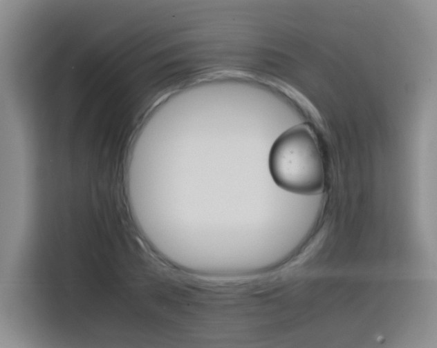 X0000113750785200909301031