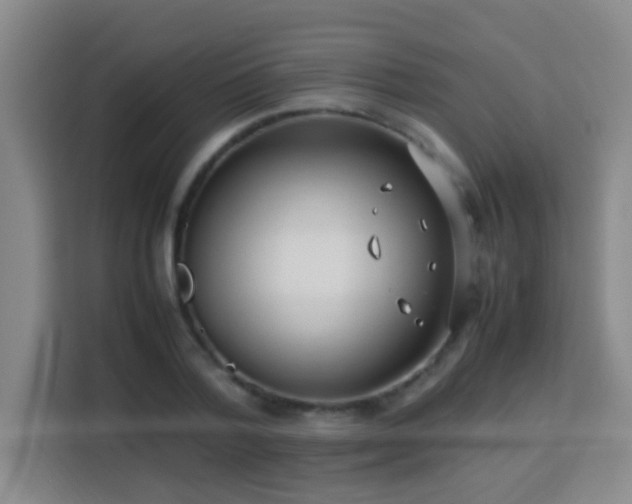 X0000113750788200909301031