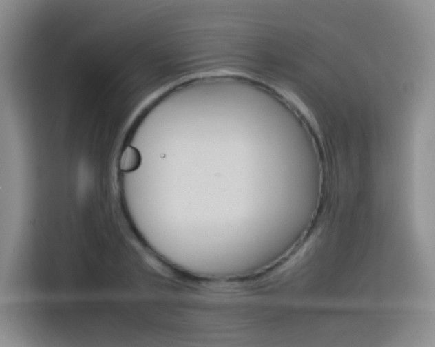 X0000113750789200909301031