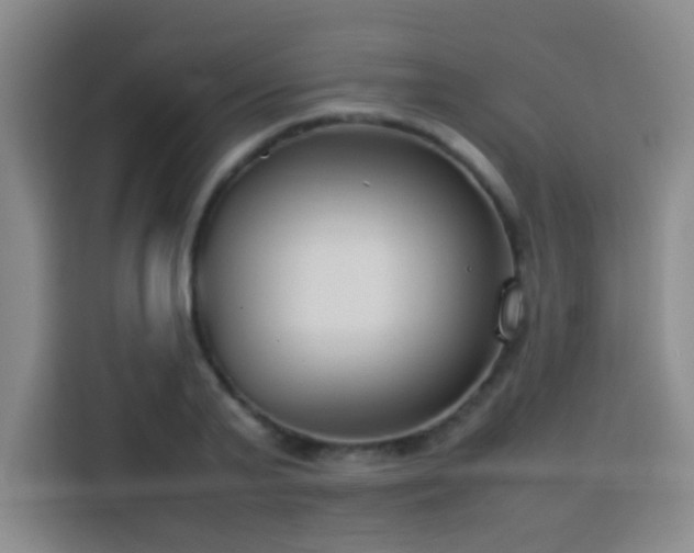 X0000113750791200909301031