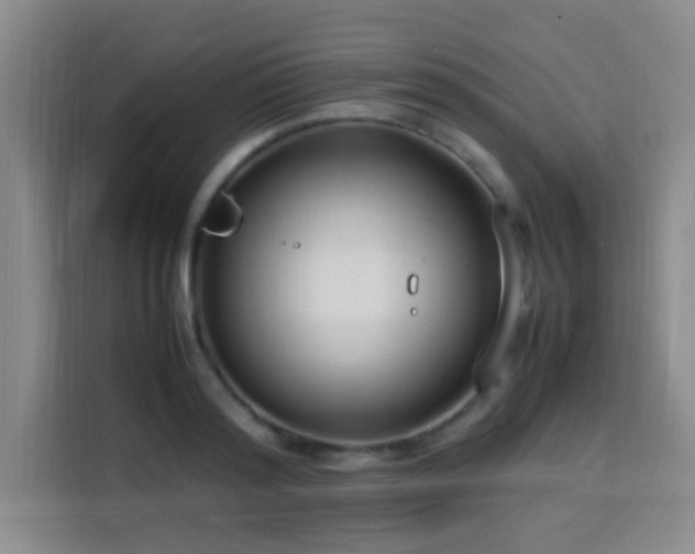 X0000113750796200909301031