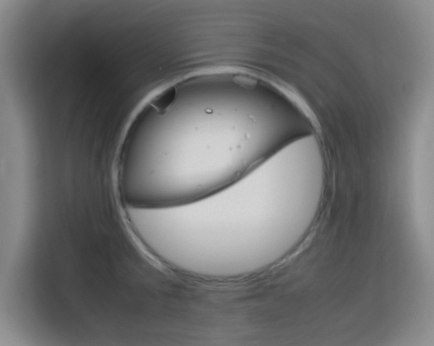 X0000113750805200909301030