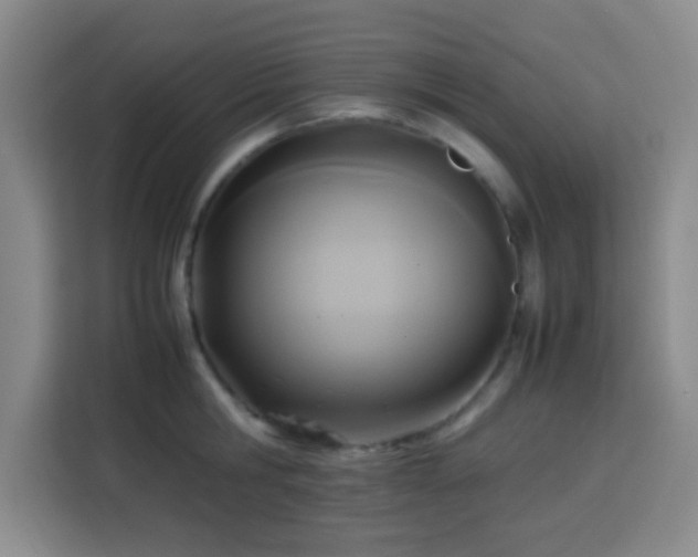 X0000113750806200909301030
