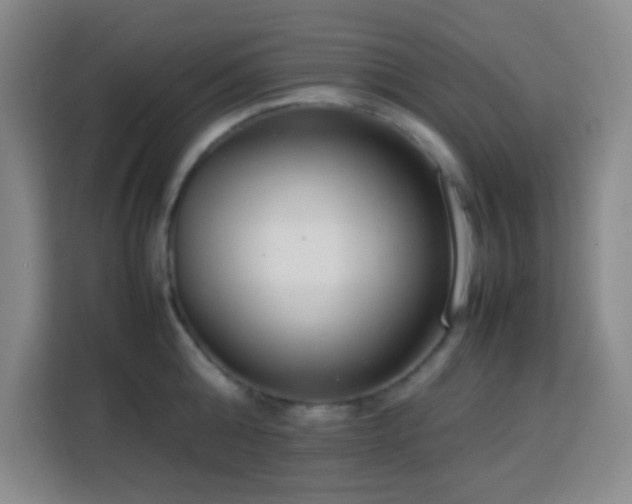 X0000113750808200909301030