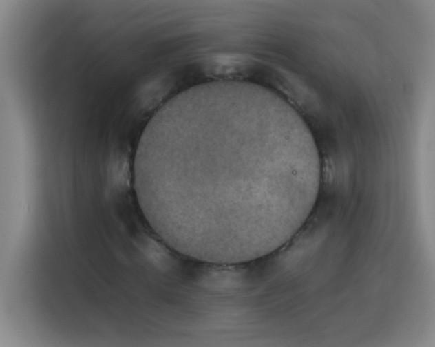 X0000113750820200909301030