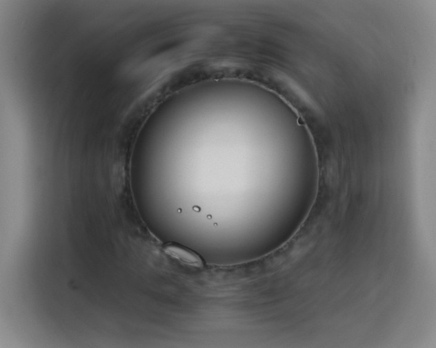X0000113750821200909301030