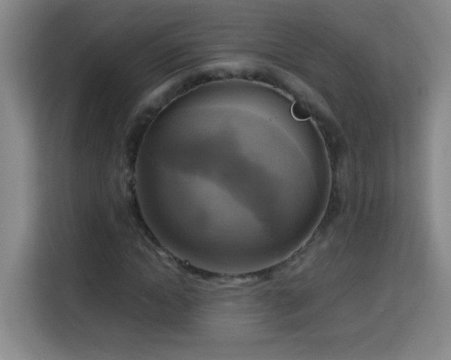 X0000113750822200909301030
