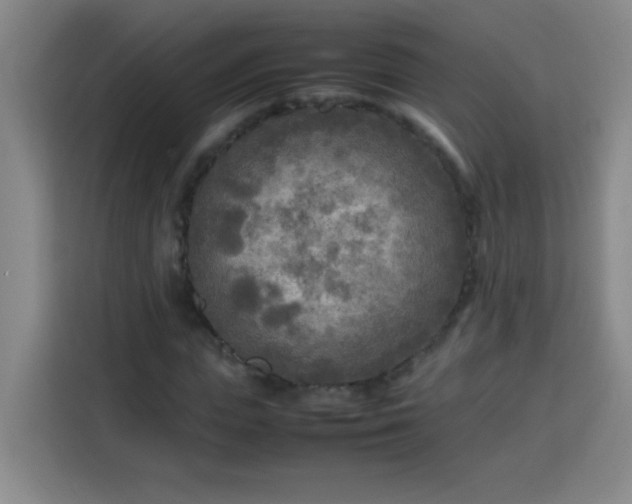 X0000113750823200909301030