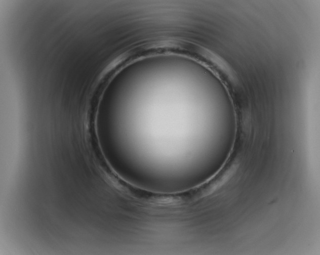 X0000113750826200909301030