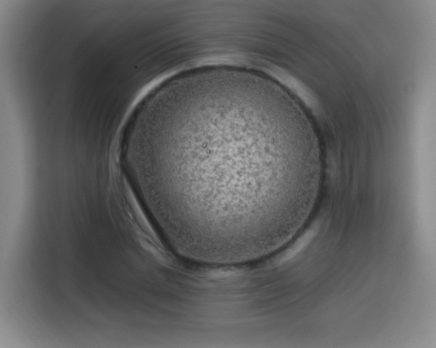 X0000113750830200909301030
