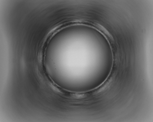X0000113750831200909301030