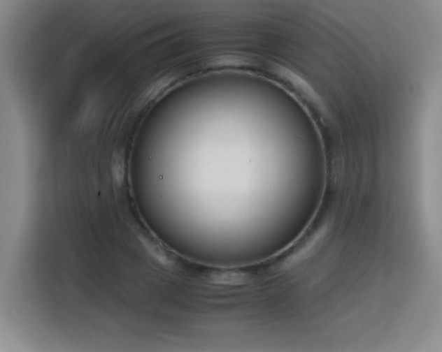 X0000113750833200909301030