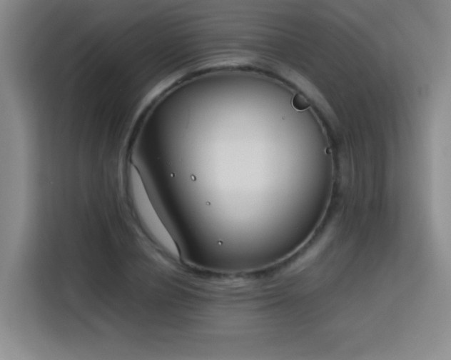 X0000113750834200909301030