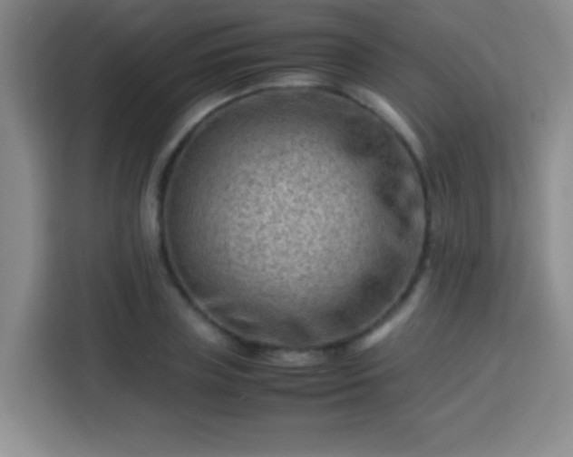 X0000113750835200909301030