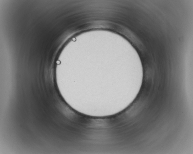 X0000113750836200909301030