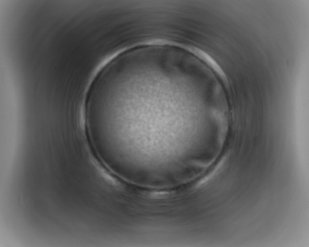 X0000113750839200909301030