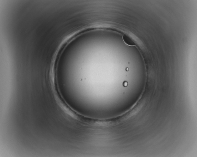 X0000113750840200909301030
