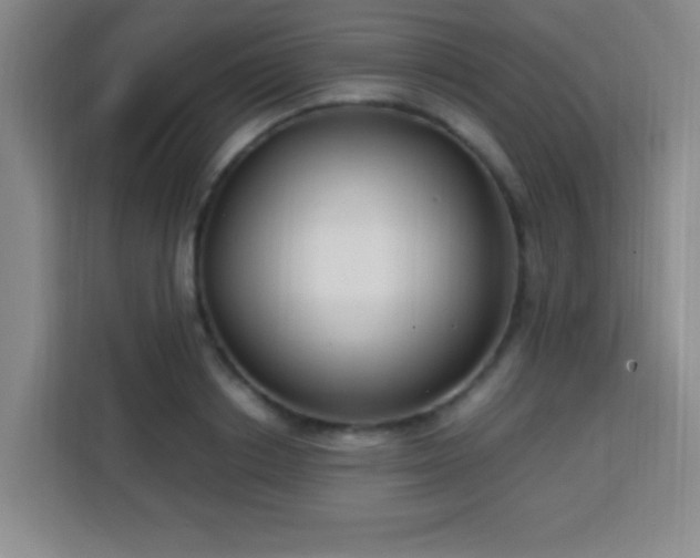 X0000113750842200909301030