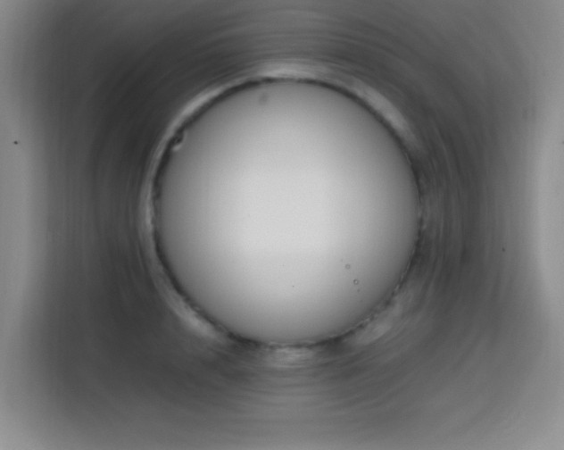 X0000113750848200909301030