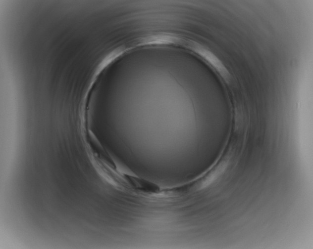 X0000113750850200909301030