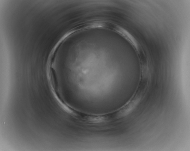 X0000113750851200909301030
