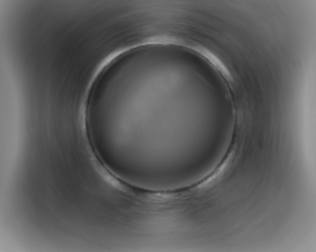 X0000113750854200909301030