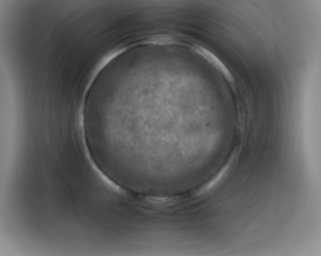X0000113750855200909301030