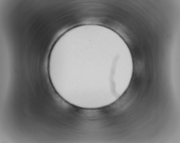 X0000113750856200909301030