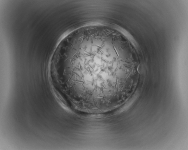 X0000113750858200909301030