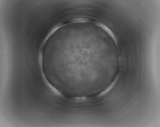 X0000113750859200909301030