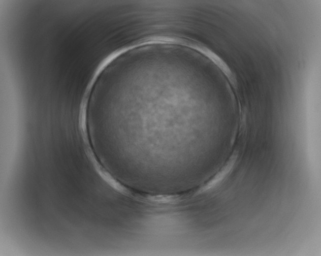X0000113750862200909301030