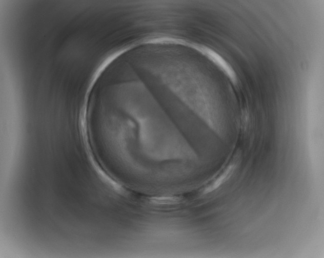 X0000113750863200909301030
