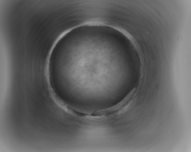 X0000113750864200909301030