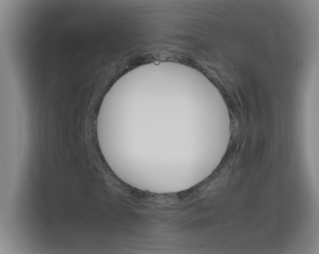 X0000113750865200909301030