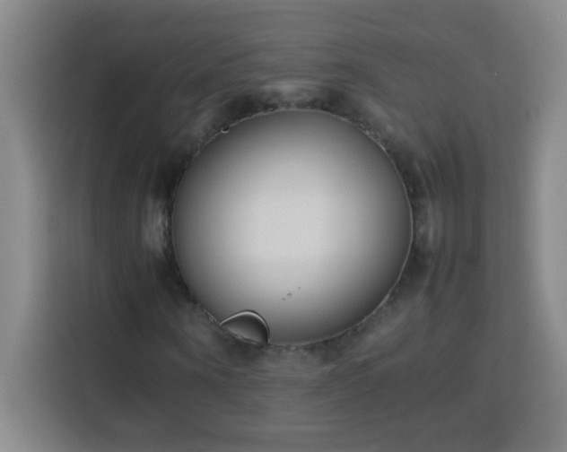 X0000113750866200909301030