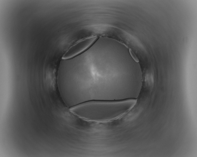 X0000113750868200909301030