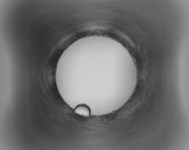 X0000113750869200909301030
