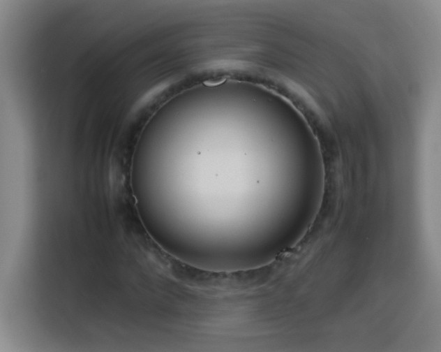 X0000113750872200909301030