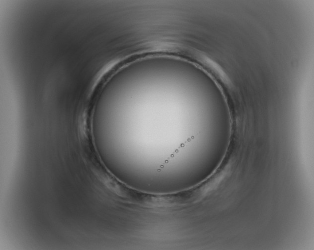 X0000113750875200909301030