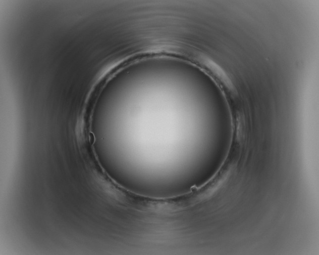 X0000113750876200909301029