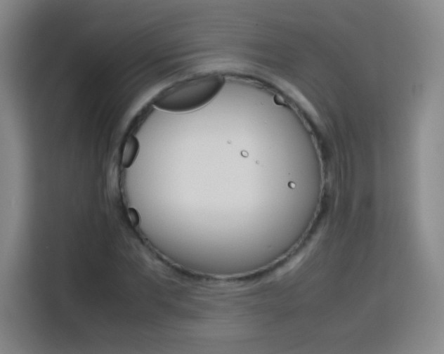 X0000113750877200909301029