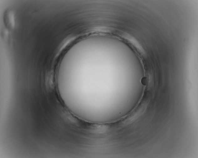 X0000113750878200909301029