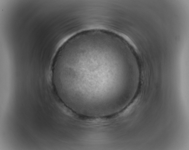 X0000113750879200909301029