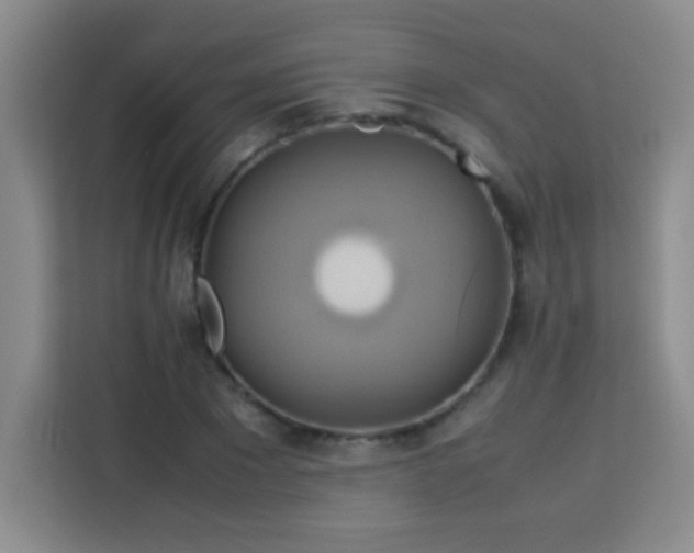 X0000113750881200909301029